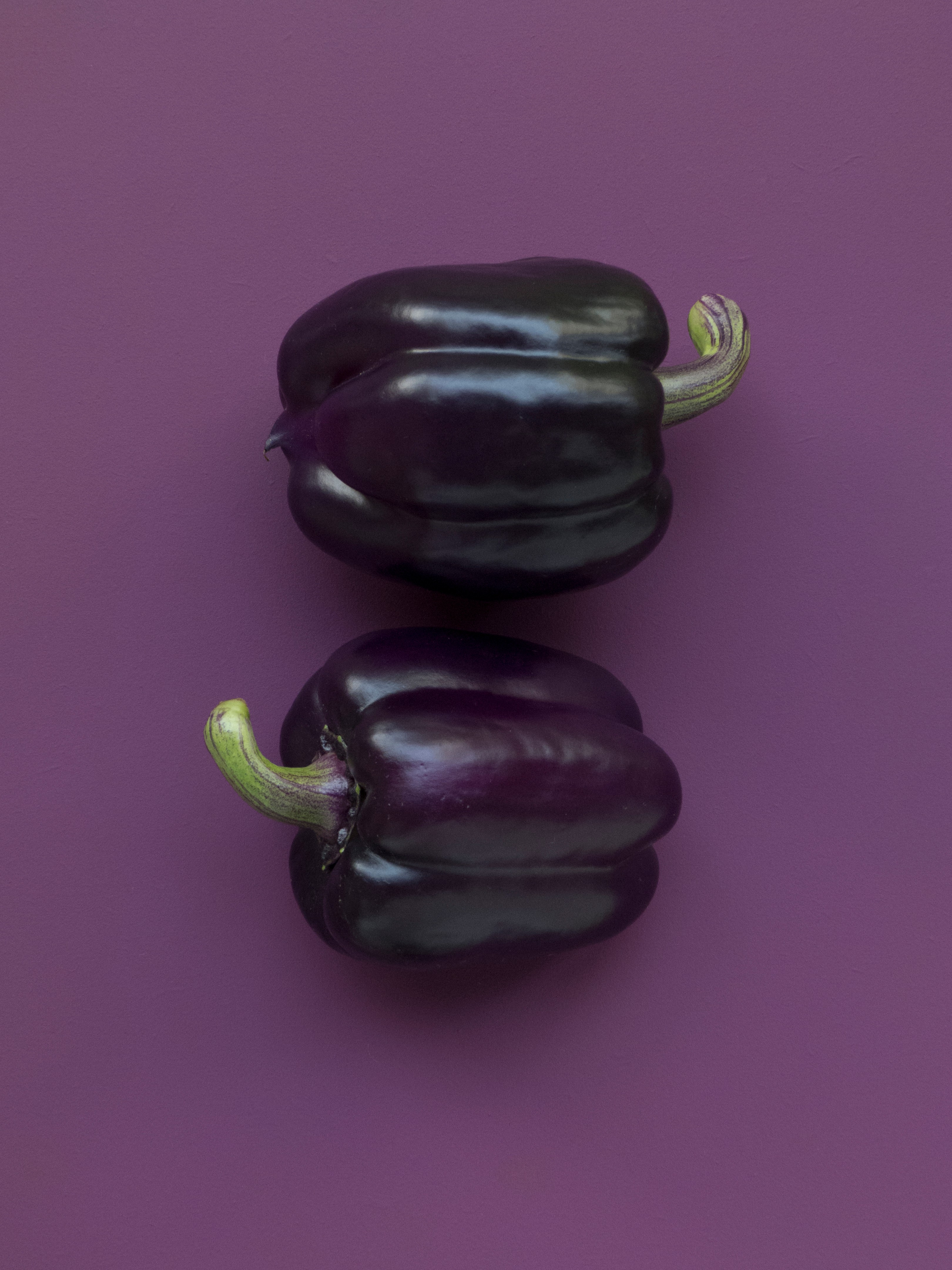 Purple capsicum