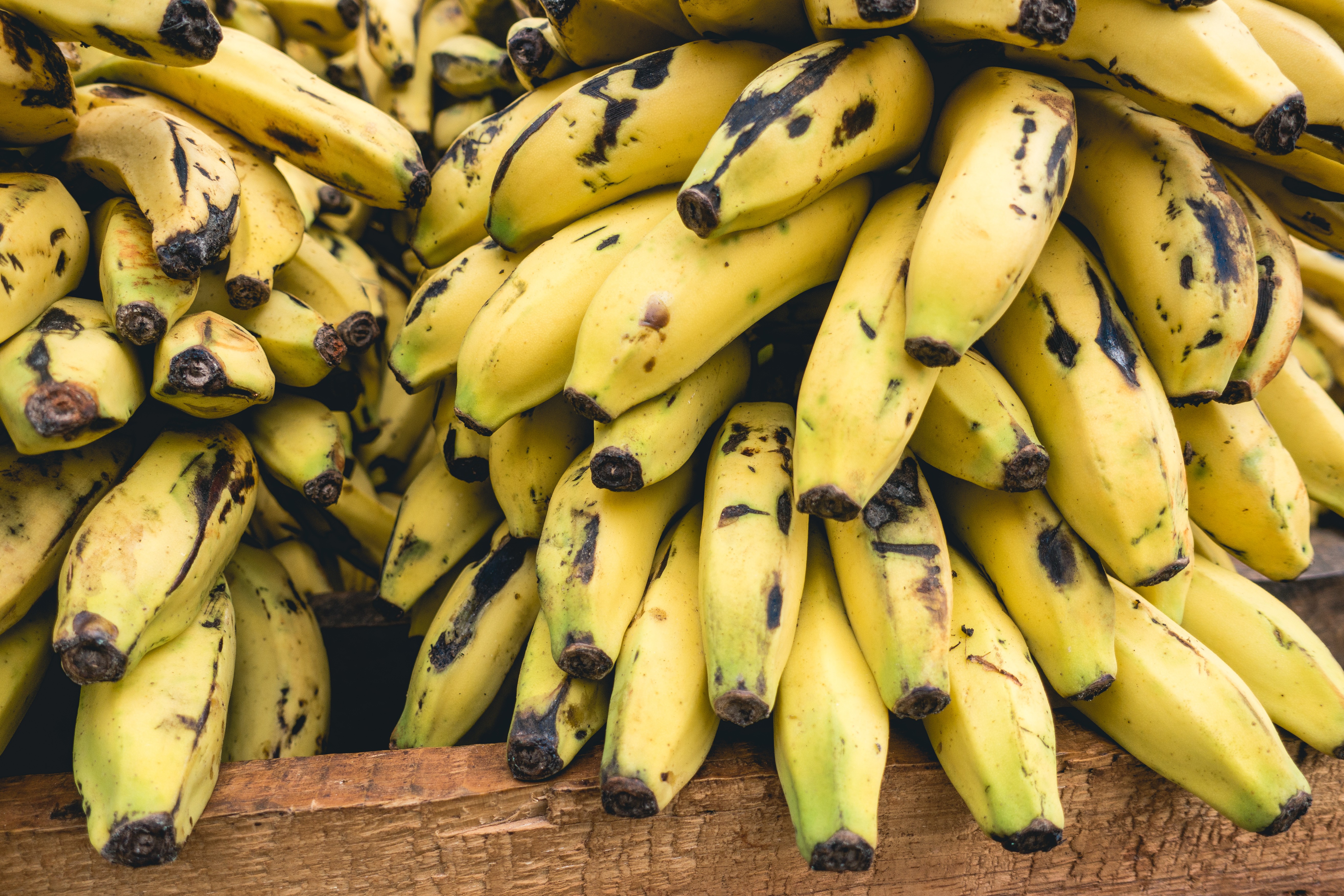 Bananas cubanas em close