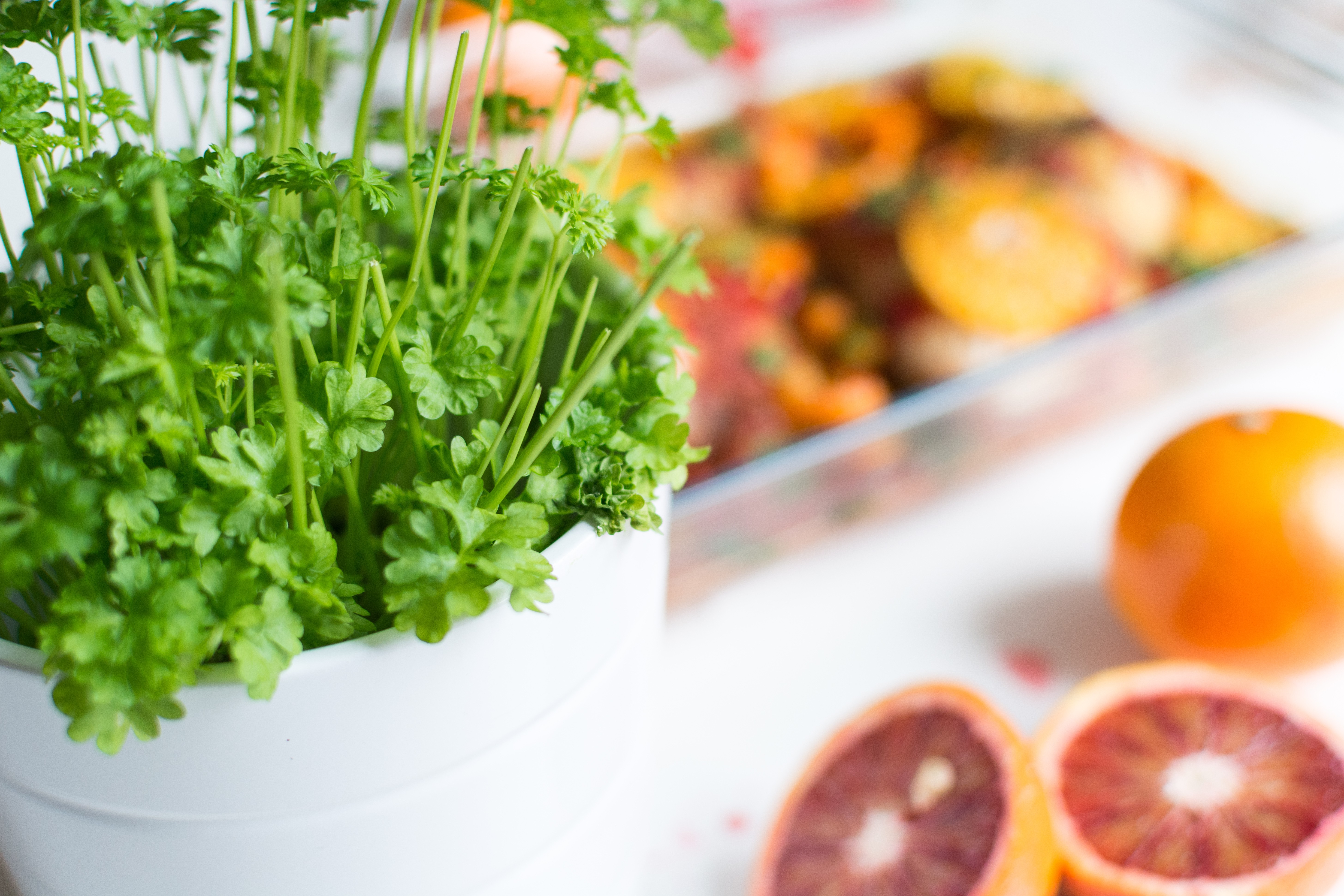 Salsa fresca e laranjas