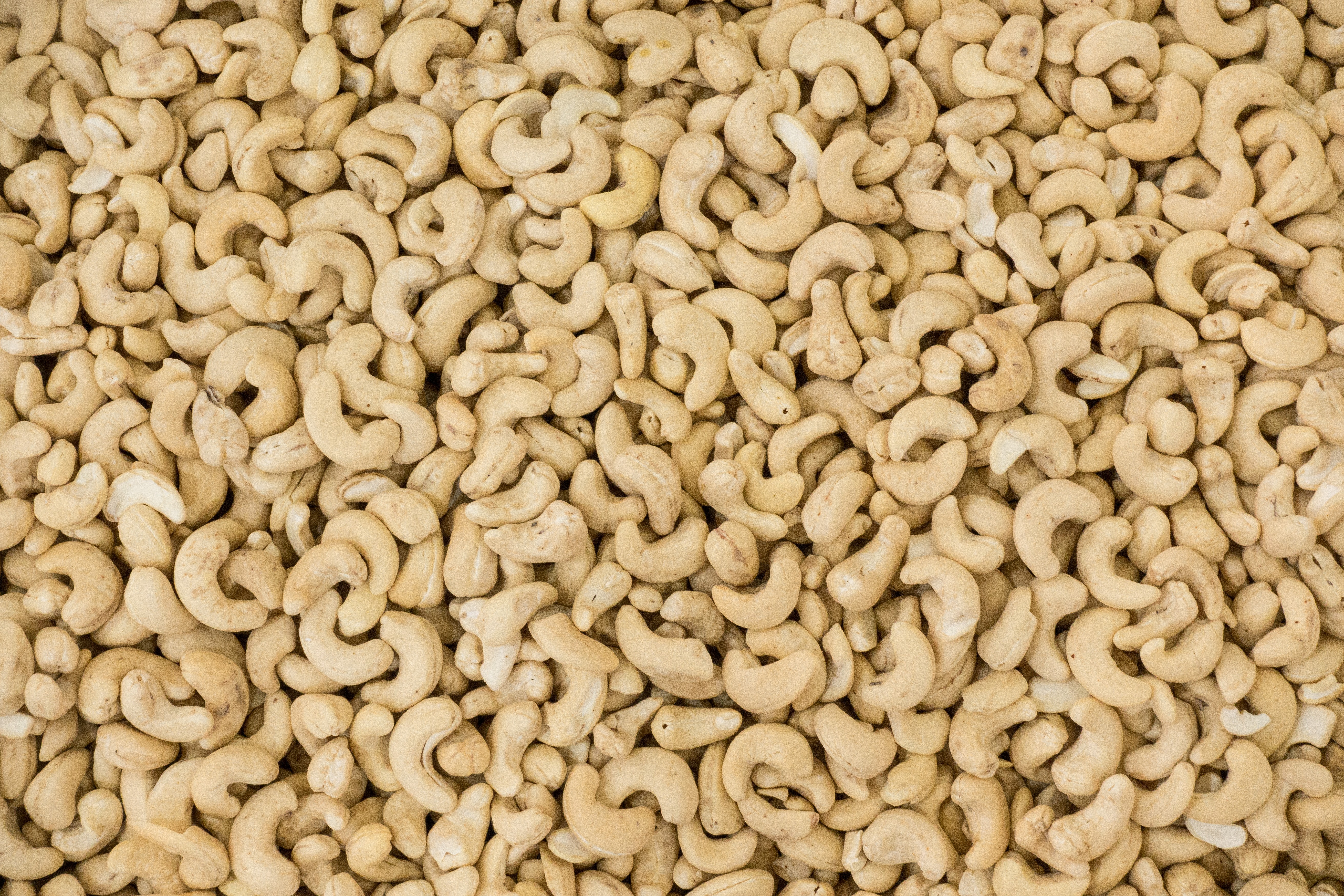 Cashew nuts full frame