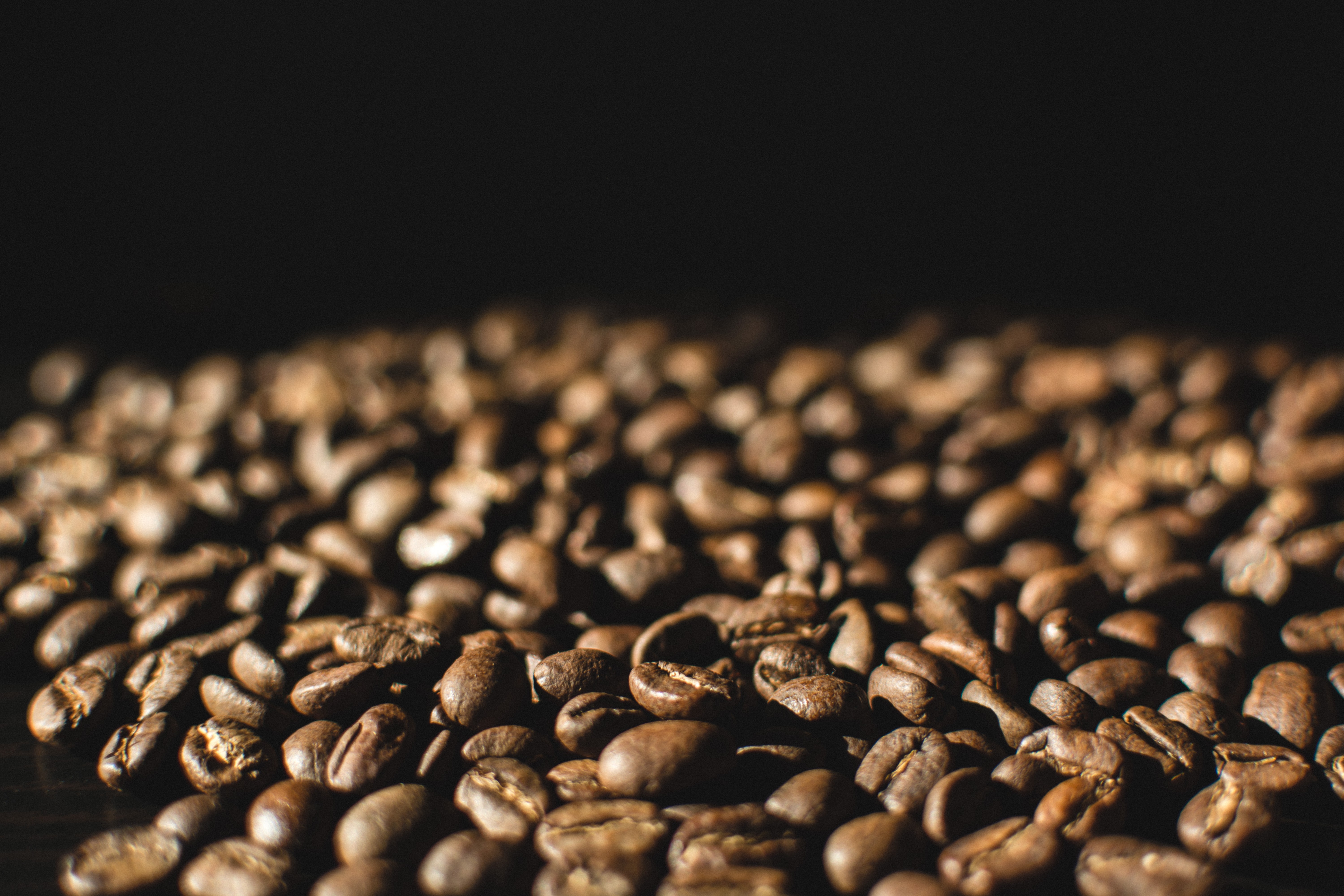 Grãos de café levemente torrados em close