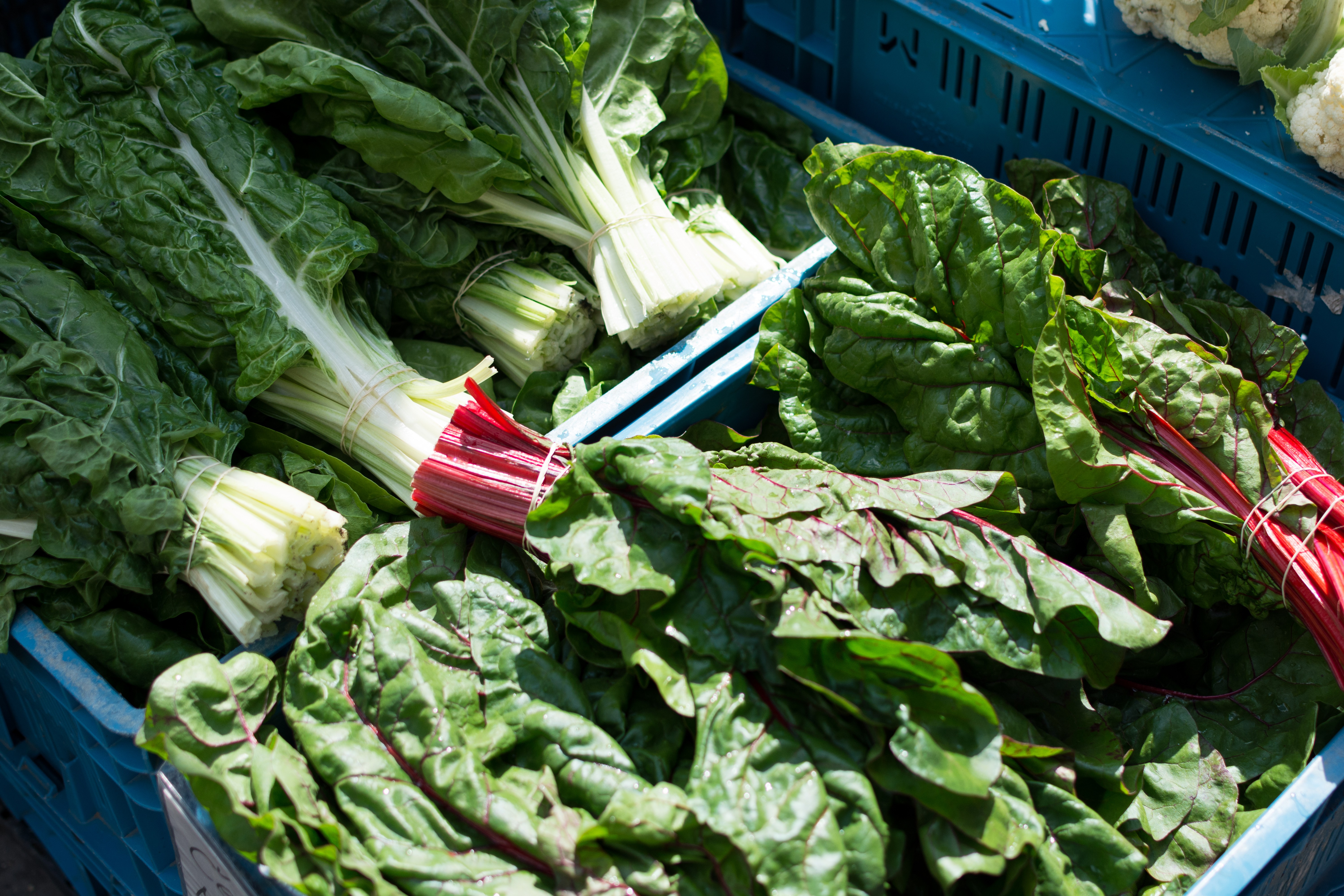 Mangold and beetroot leaves for sale