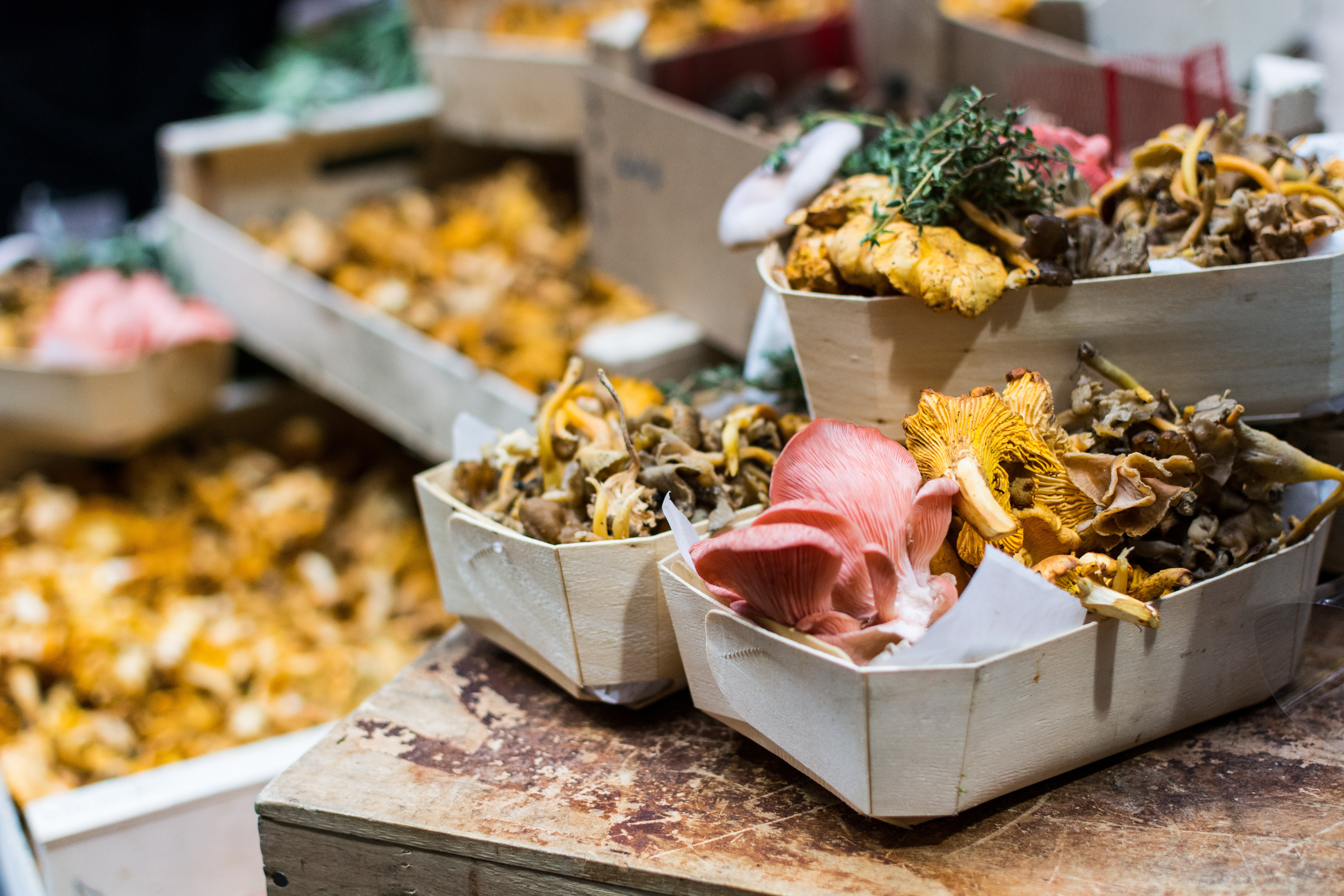 Mushrooms at farmers market