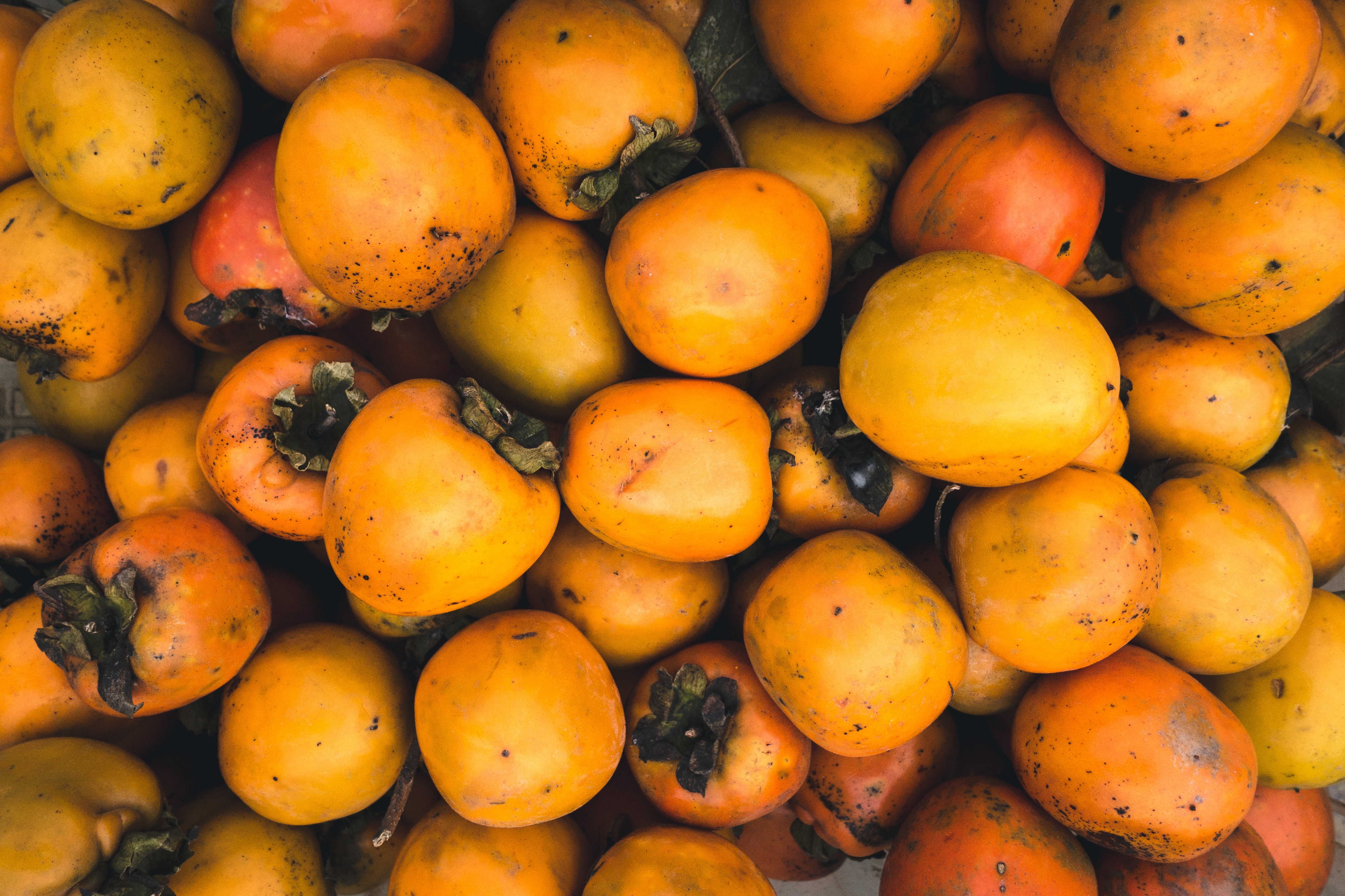 Fruto de caqui persimon
