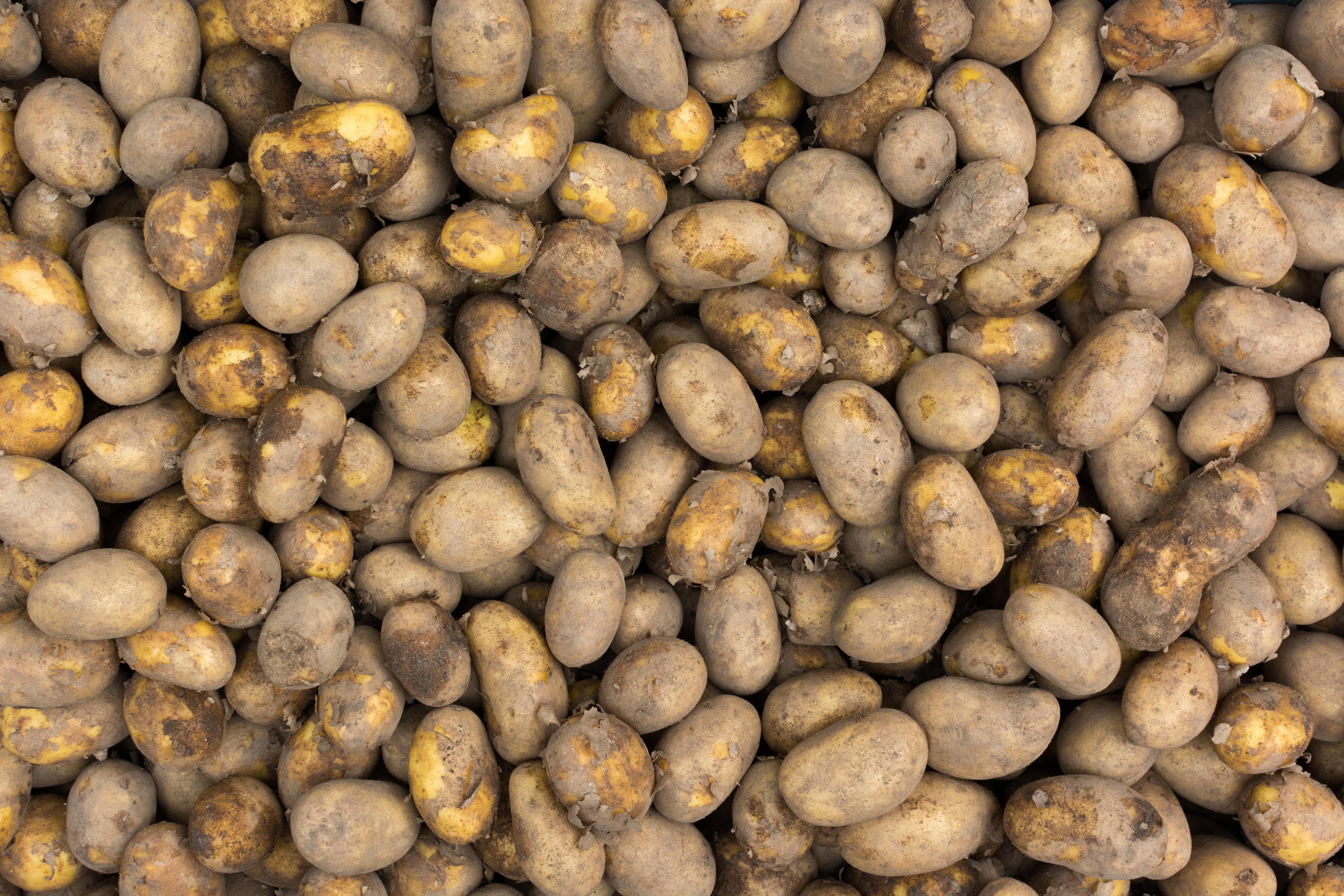 Papas en el mercado desde arriba