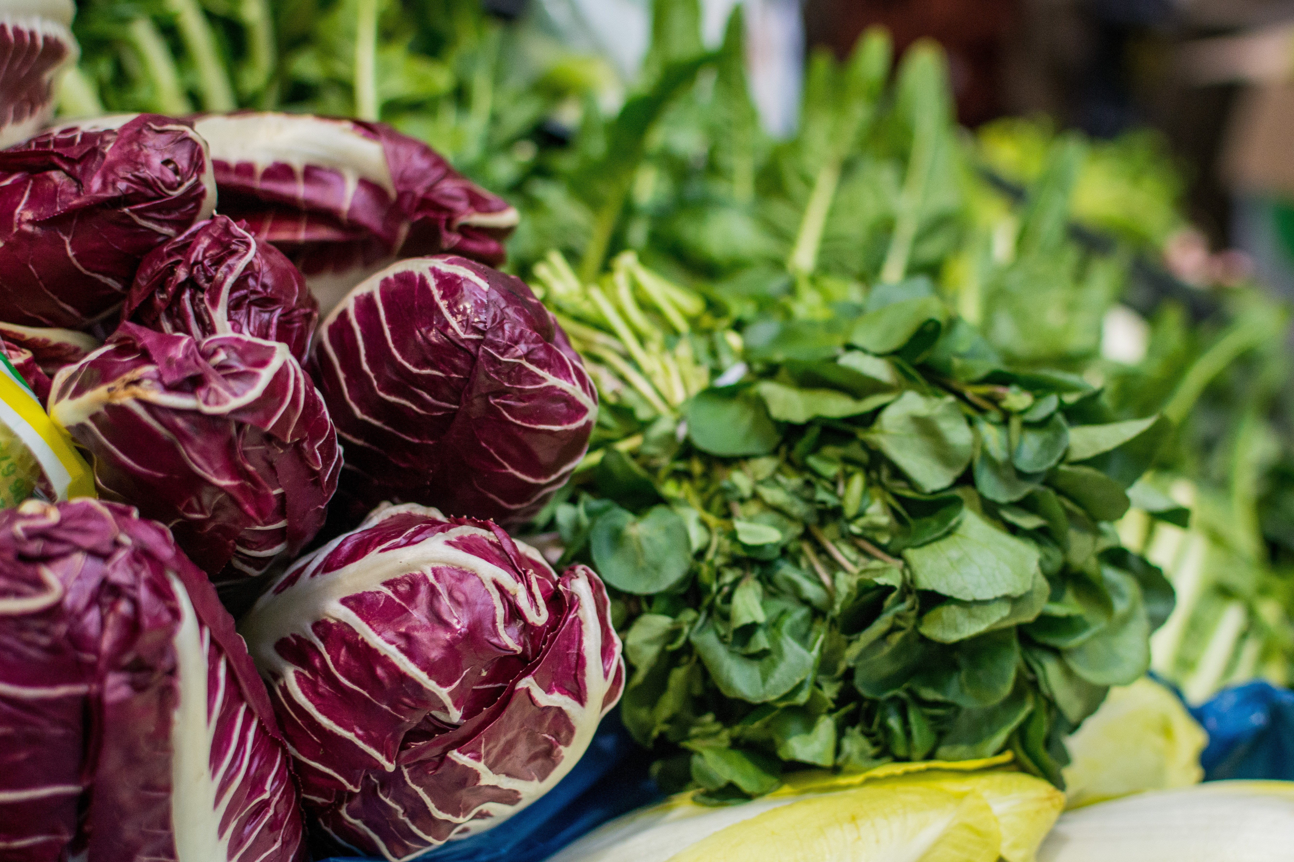 Radicchio and greens at a market