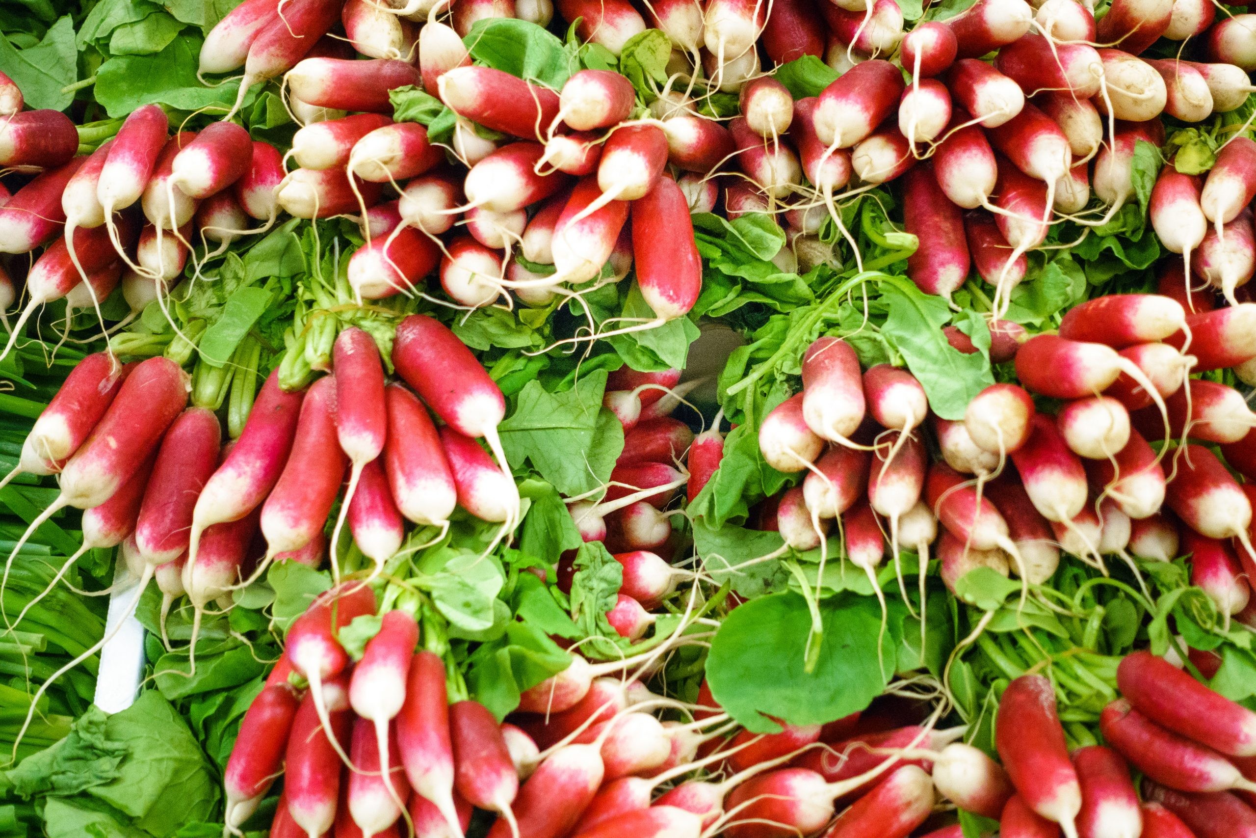 Rábanos en un mercado de agricultores