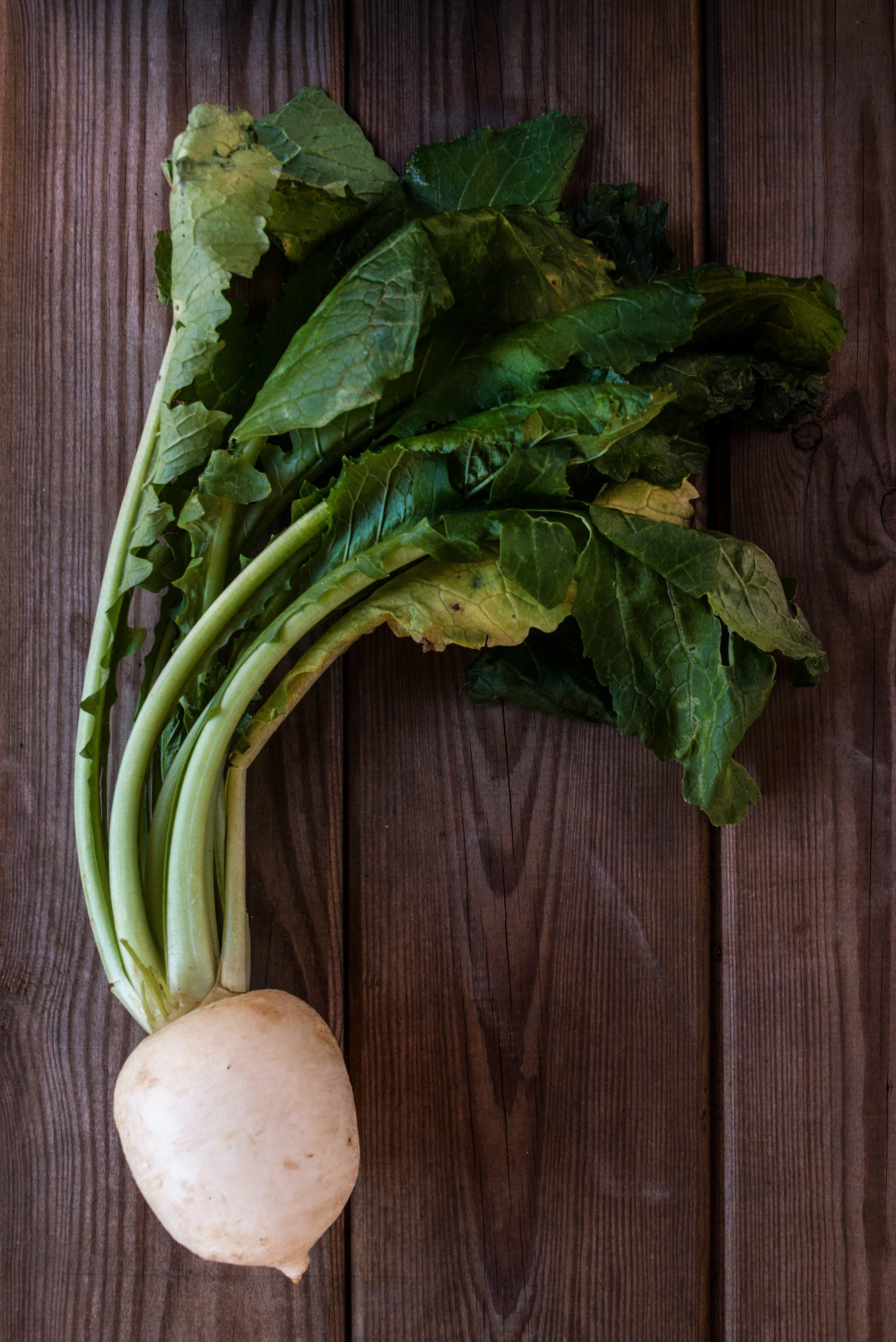 Fresh turnip on a wooden table