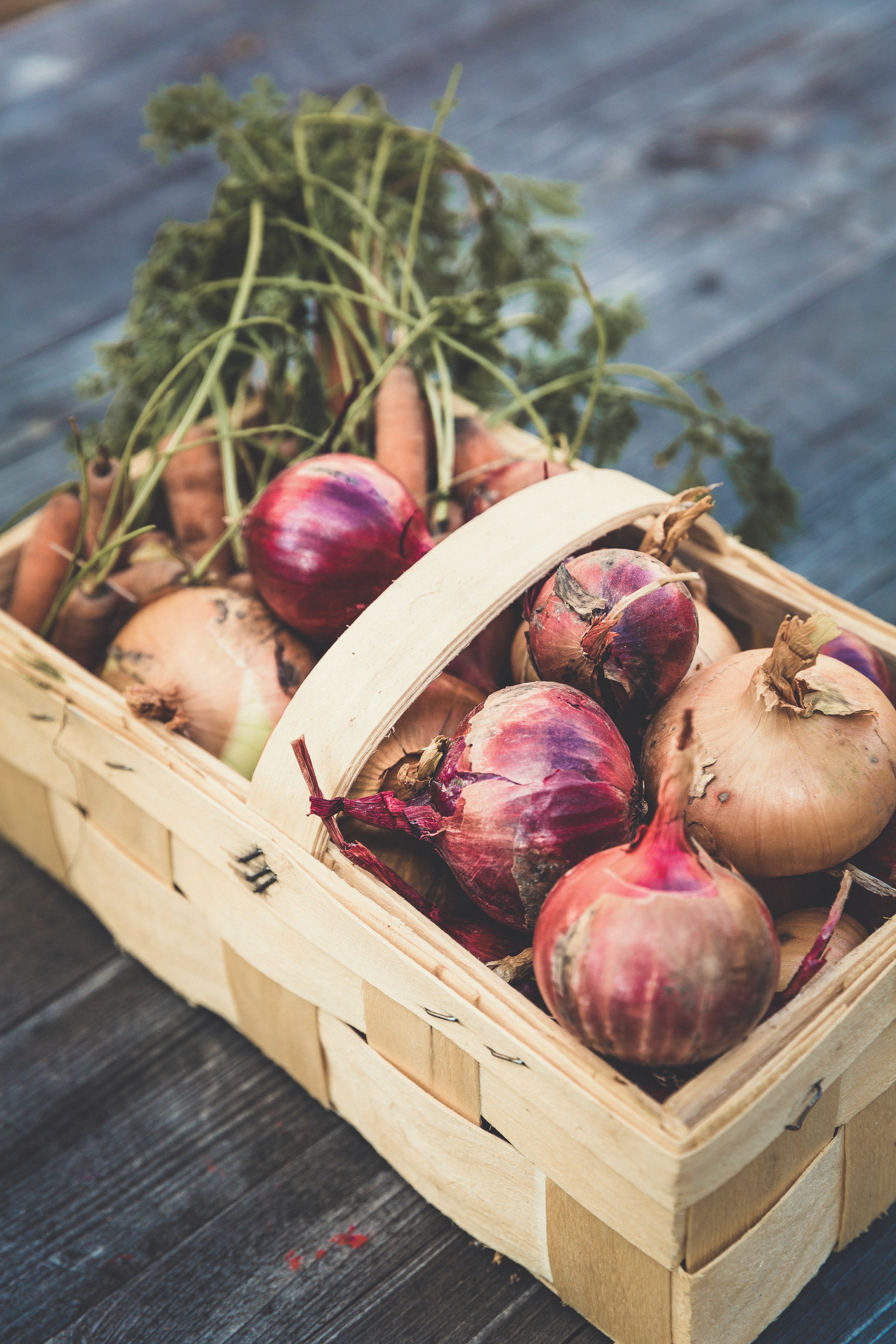 Harvested onions and carrots