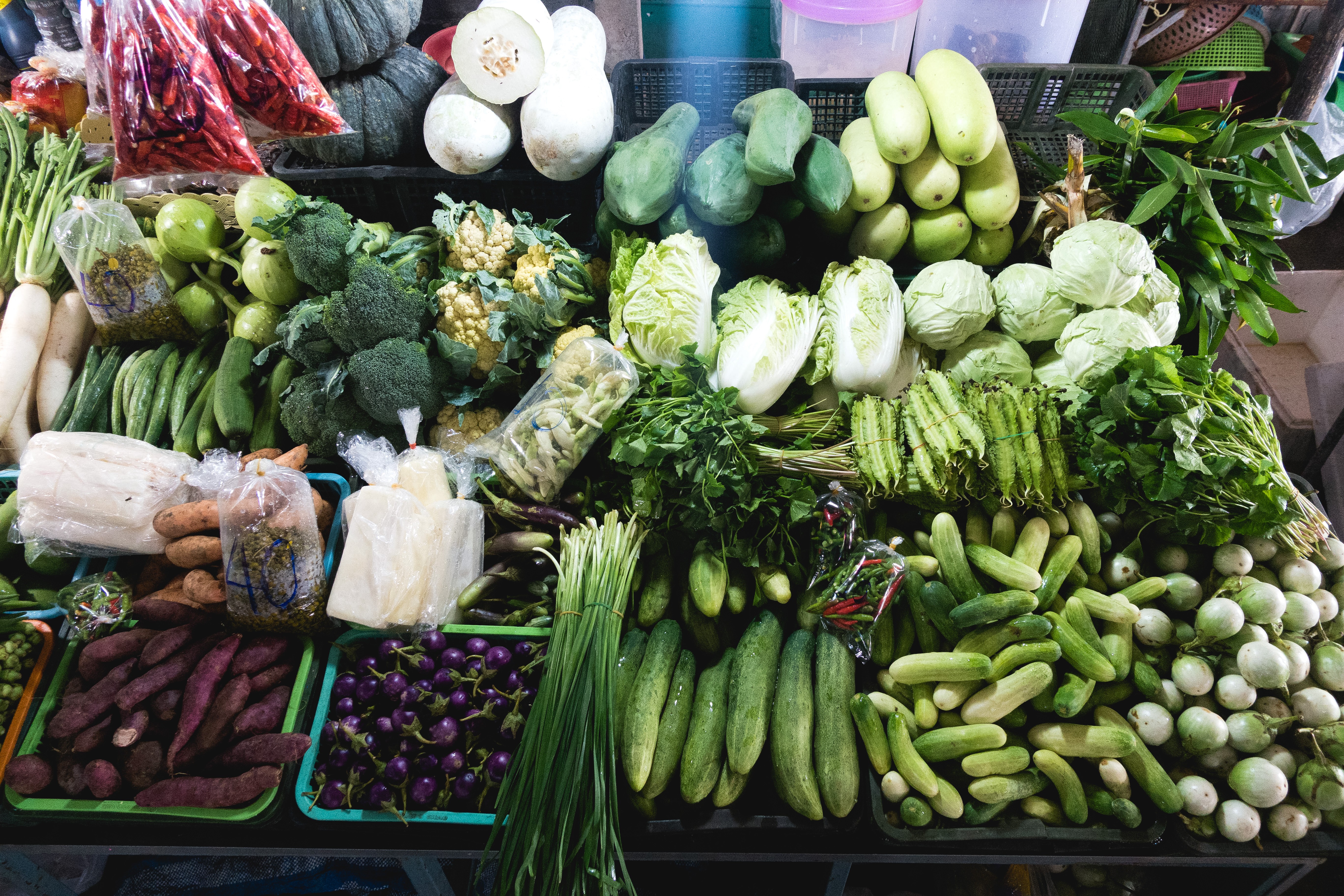 Variedad de verduras verdes