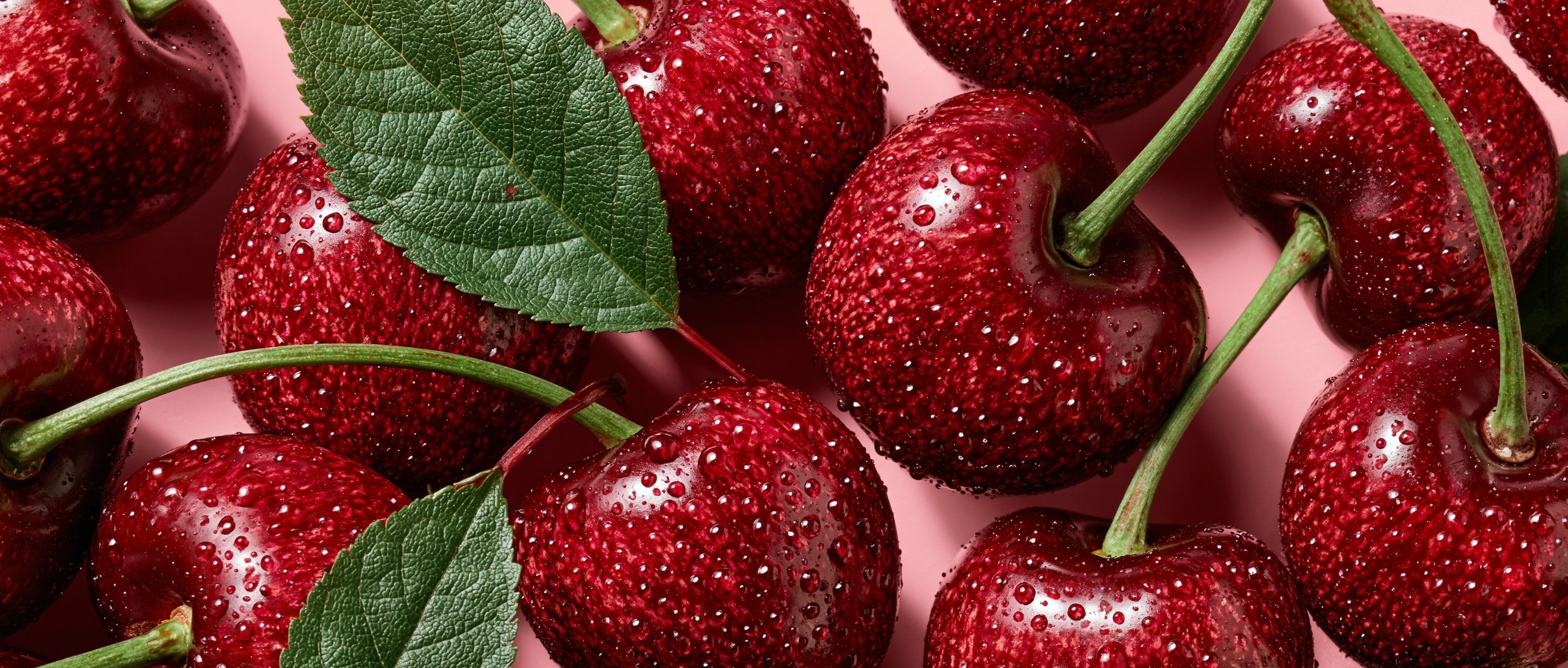 Cerezas Frescas y Jugosas con Hojas