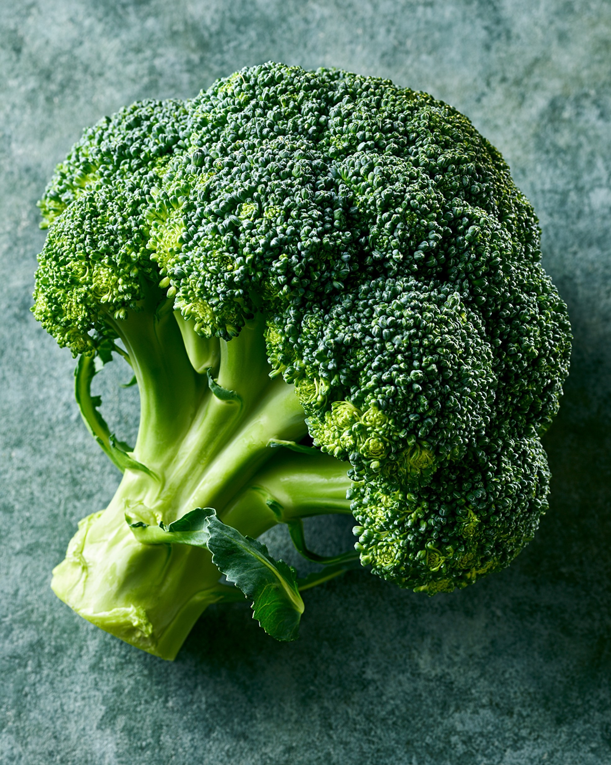 Fresh Broccoli on a Textured Background