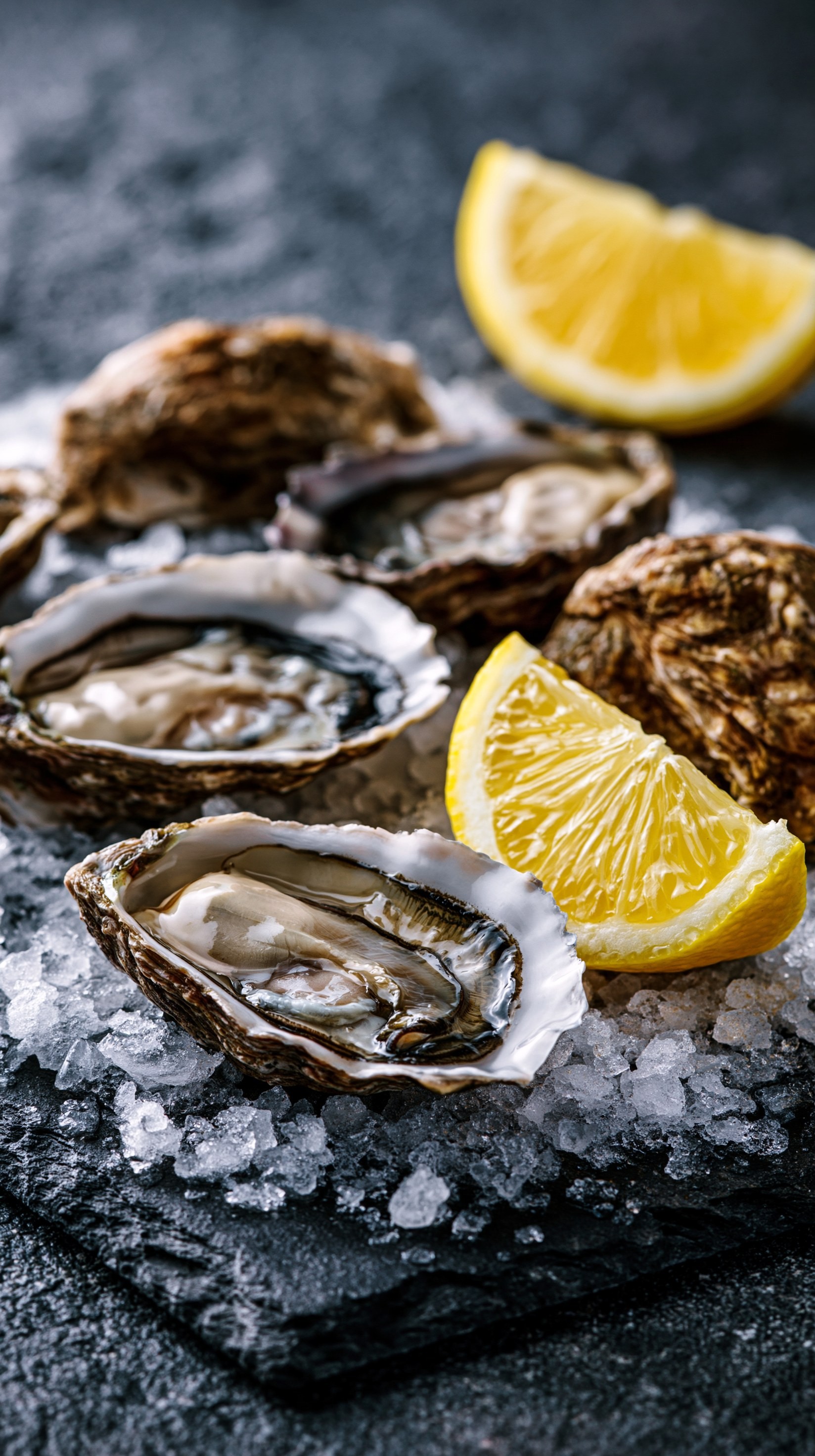 Fresh Oysters with Lemon on Ice