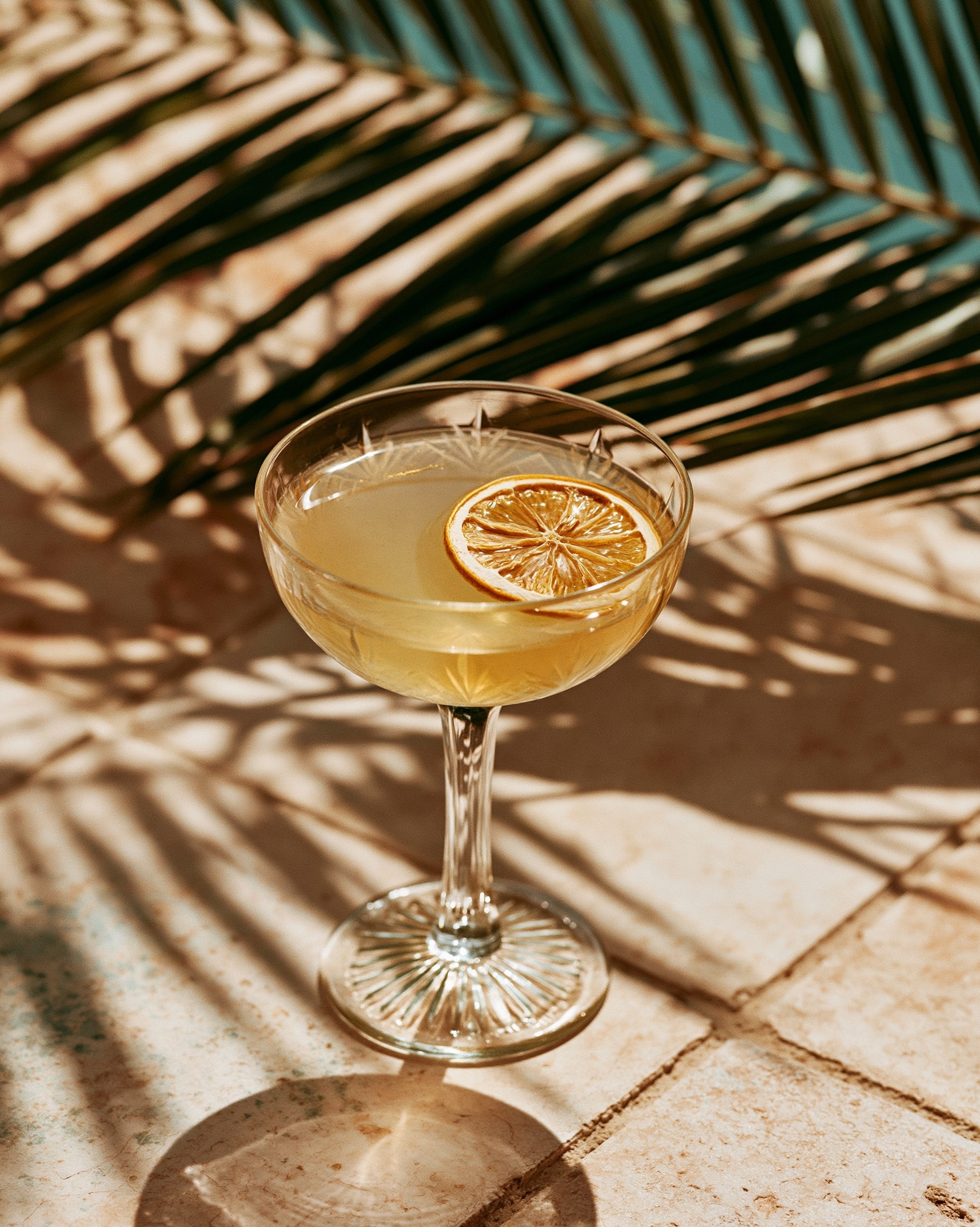 Refreshing Tropical Cocktail with Dried Lemon Slice